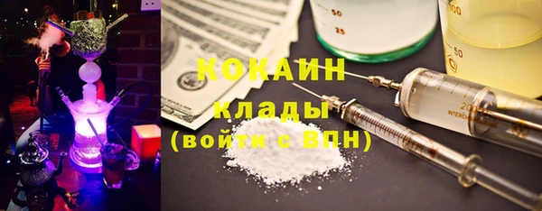 сатива Богородицк