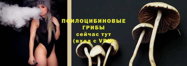 spice Балахна