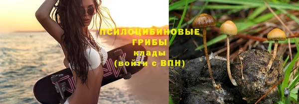 spice Балахна